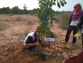 Mahasiswa Program KKN Melakukan Penanaman Pohon Saat Kegiatan Tagana Go Green
